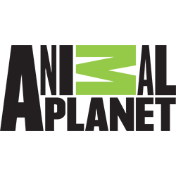 Animal Planet