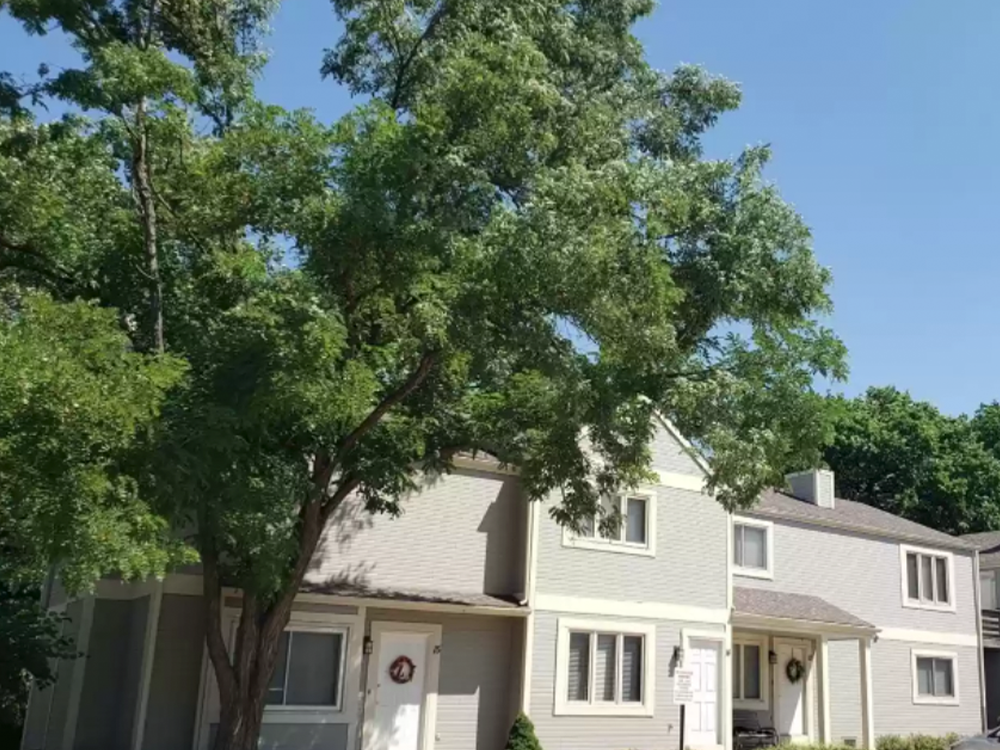 1408 Beechwood Ter*